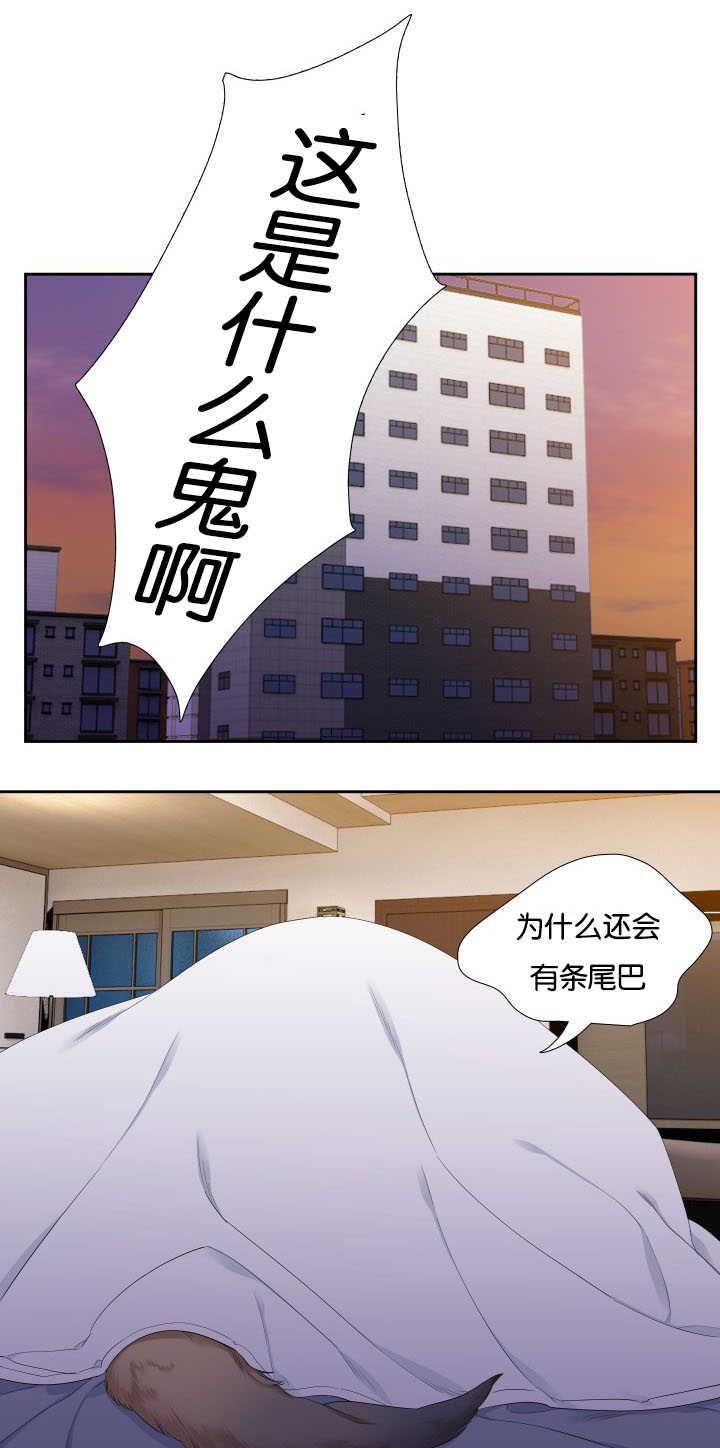 全职法师漫画免费阅读韩漫全集-第31话无删减无遮挡章节图片 
