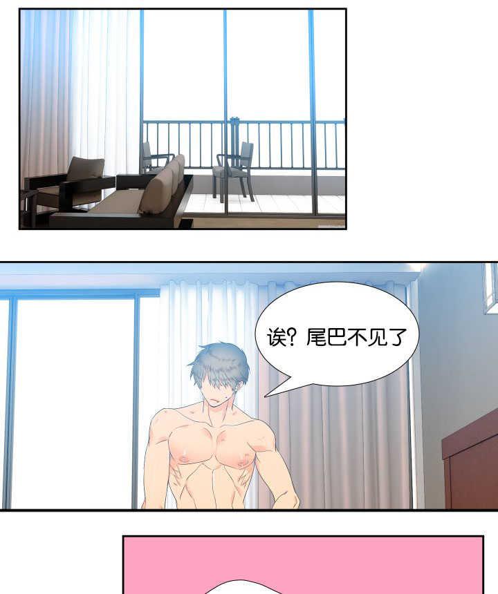全职法师漫画免费阅读韩漫全集-第33话无删减无遮挡章节图片 