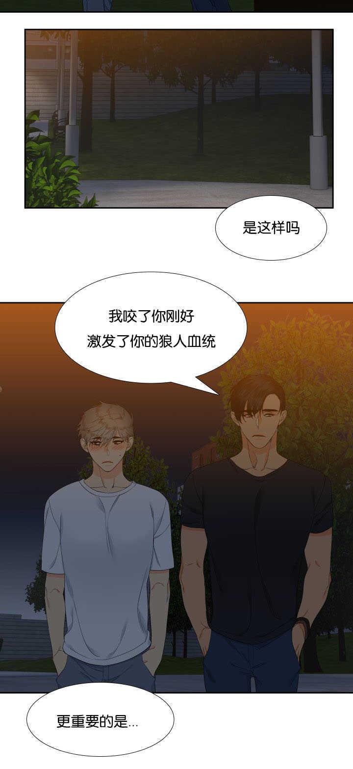 全职法师漫画免费阅读韩漫全集-第36话无删减无遮挡章节图片 