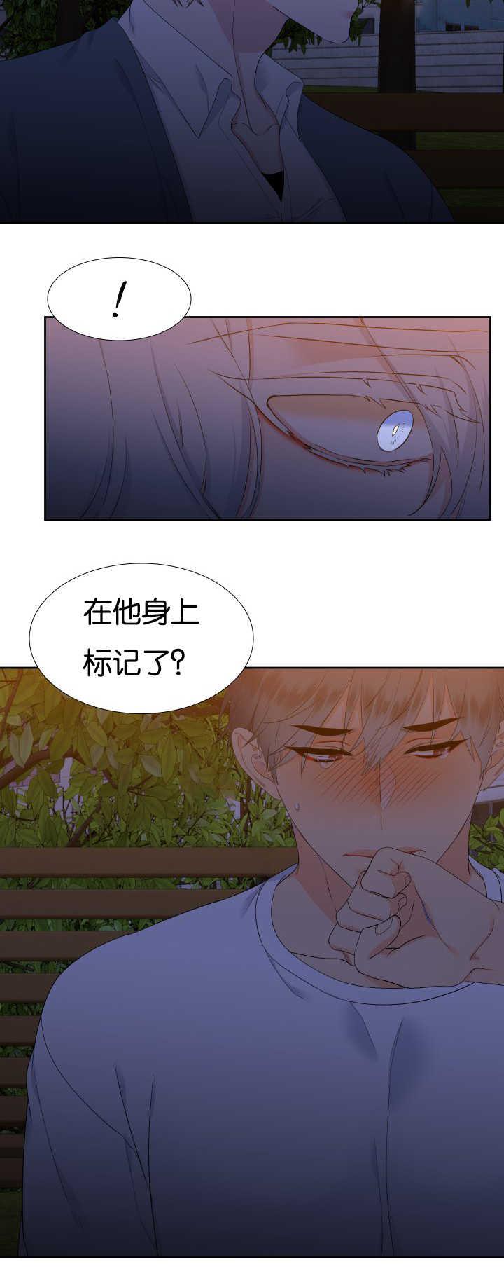 全职法师漫画免费阅读韩漫全集-第39话无删减无遮挡章节图片 