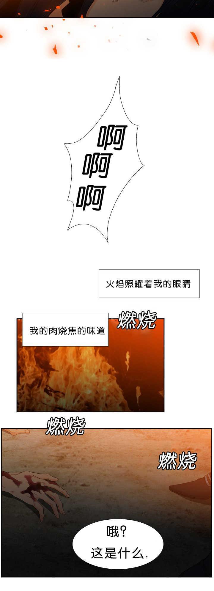 全职法师漫画免费阅读韩漫全集-第46话无删减无遮挡章节图片 