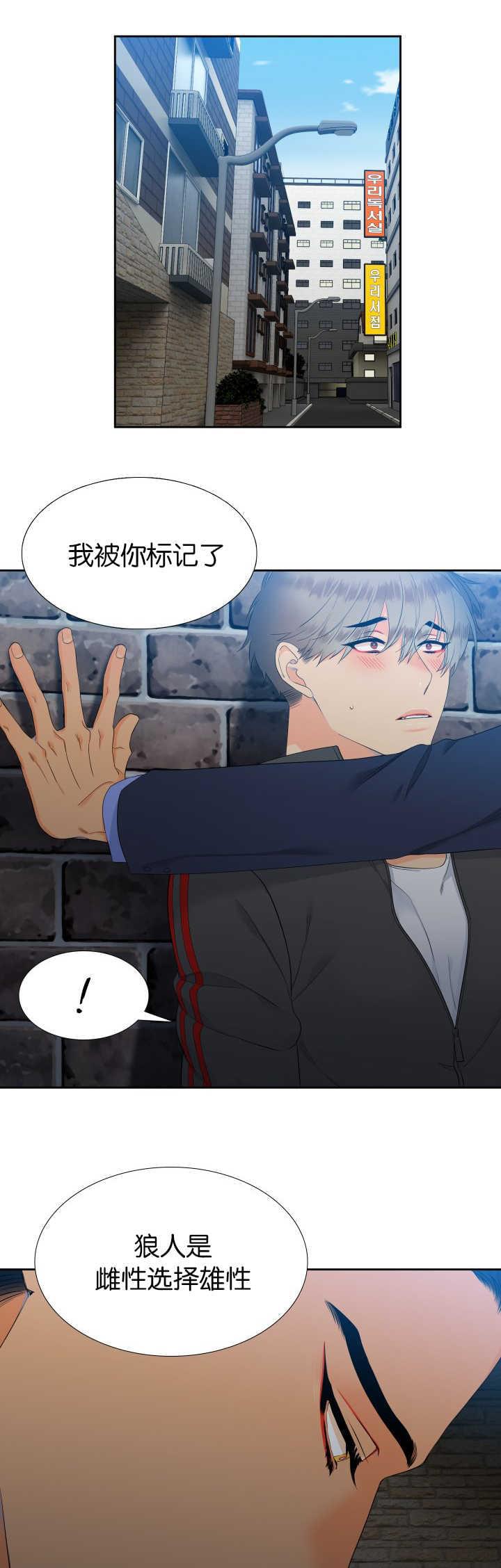全职法师漫画免费阅读韩漫全集-第53话无删减无遮挡章节图片 