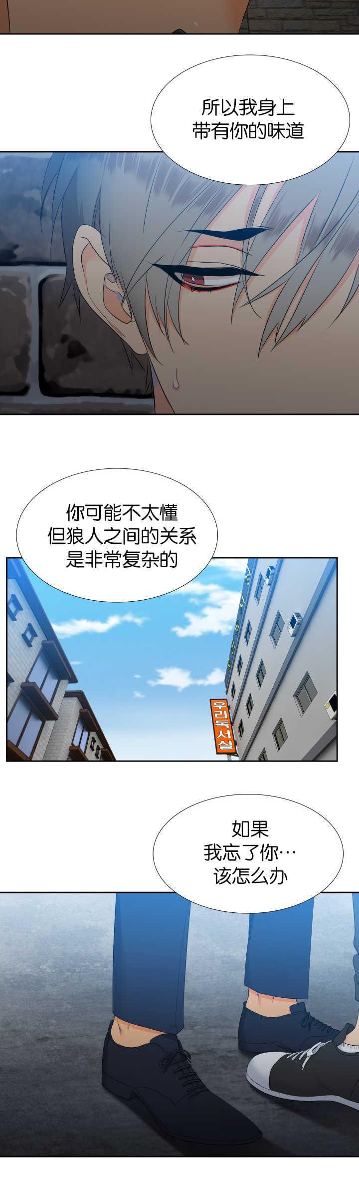 全职法师漫画免费阅读韩漫全集-第53话无删减无遮挡章节图片 