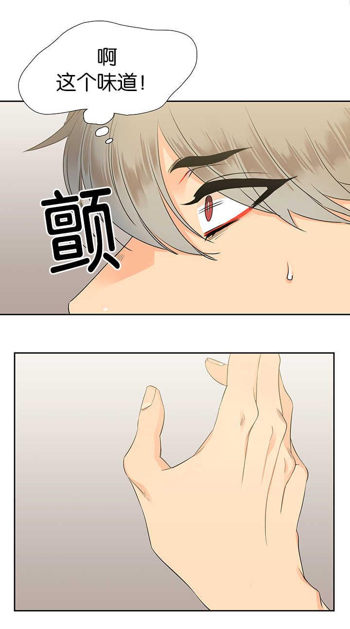 全职法师漫画免费阅读韩漫全集-第14话 控制不住无删减无遮挡章节图片 