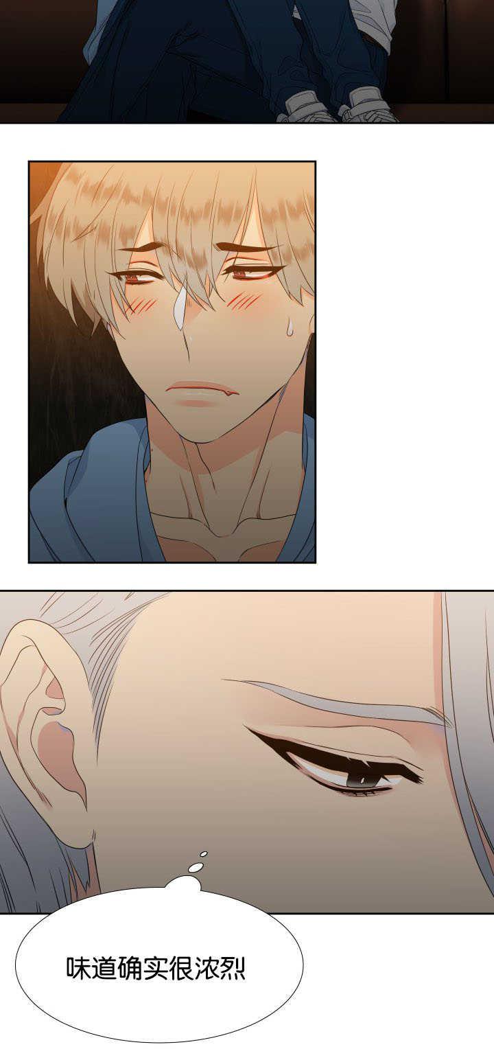 全职法师漫画免费阅读韩漫全集-第29话 味道浓烈无删减无遮挡章节图片 