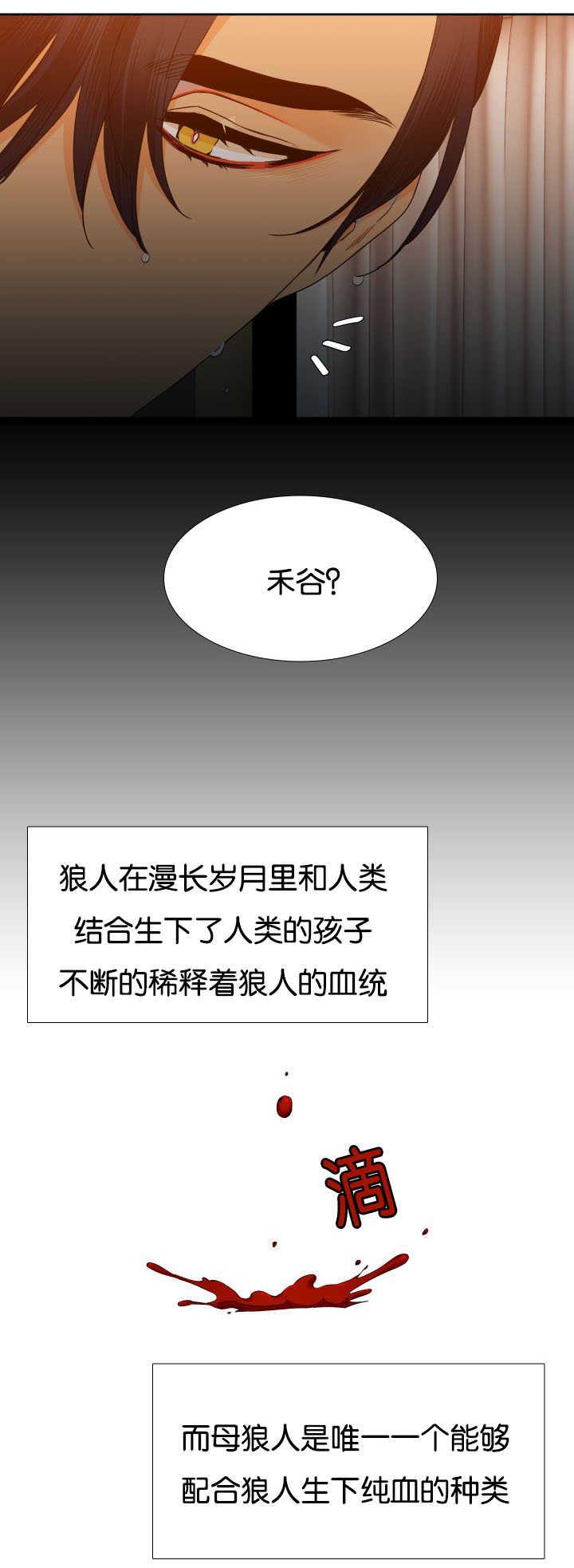 全职法师漫画免费阅读韩漫全集-第35话 不要隐藏无删减无遮挡章节图片 