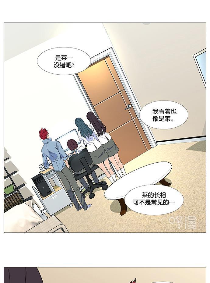 大贵族韩漫全集-第529话无删减无遮挡章节图片 