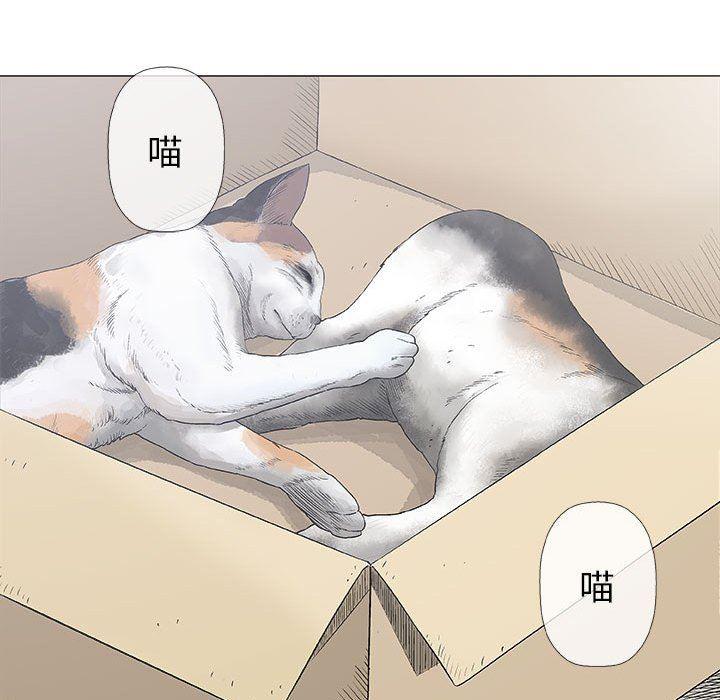 拳皇漫画韩漫全集-第28话无删减无遮挡章节图片 