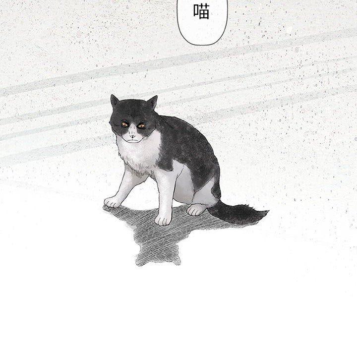 拳皇漫画韩漫全集-第28话无删减无遮挡章节图片 