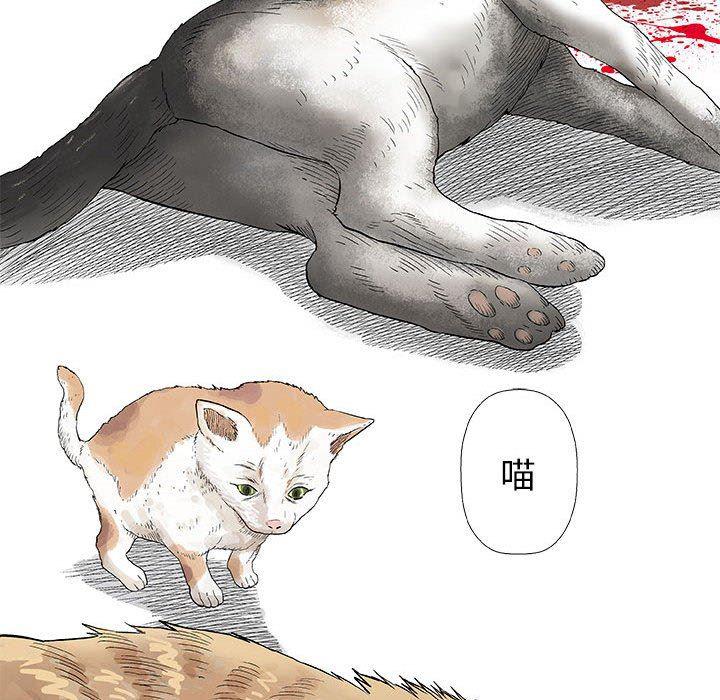 拳皇漫画韩漫全集-第28话无删减无遮挡章节图片 