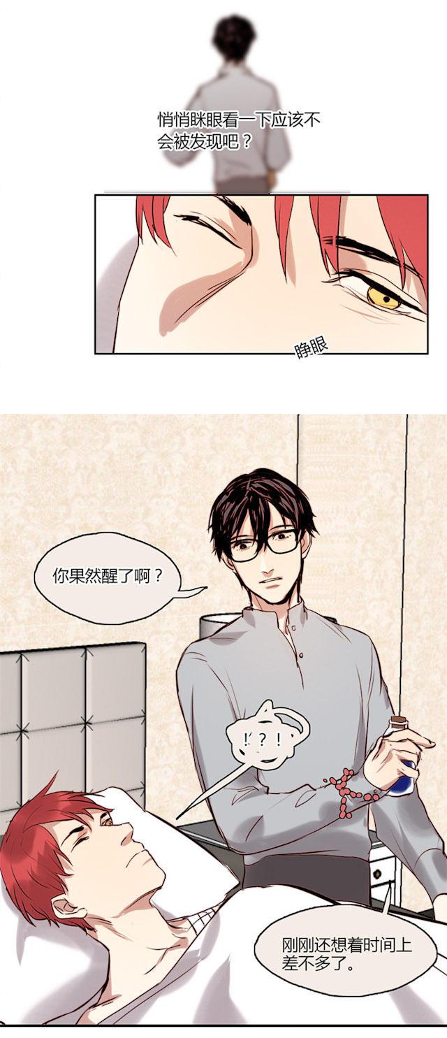 罪恶王冠漫画韩漫全集-15_第15话无删减无遮挡章节图片 