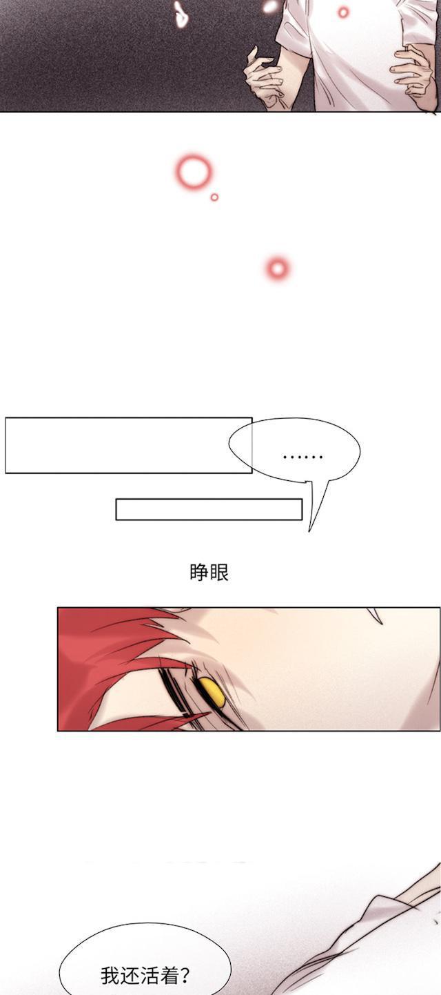 罪恶王冠漫画韩漫全集-59_59话无删减无遮挡章节图片 
