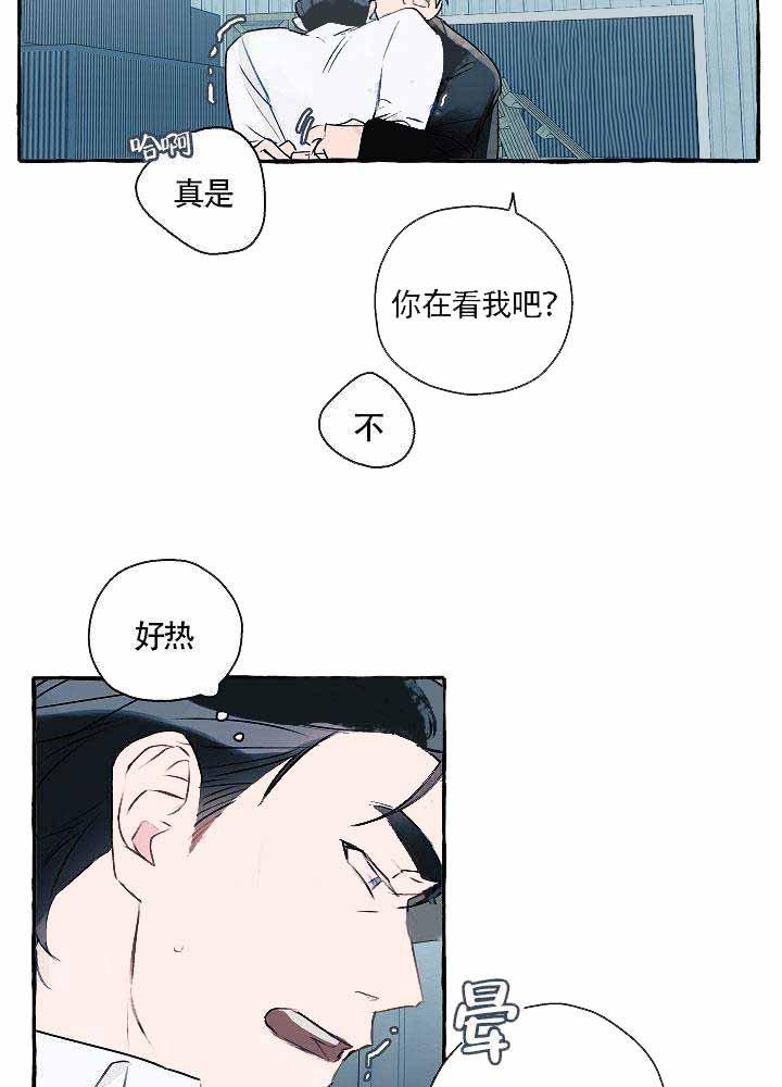 耽美漫画在线观看韩漫全集-第2话无删减无遮挡章节图片 