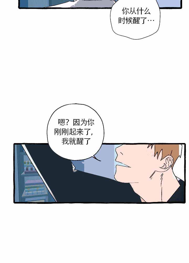 耽美漫画在线观看韩漫全集-第14话无删减无遮挡章节图片 