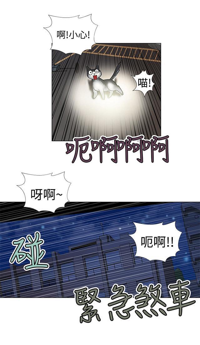 城市猎人漫画韩漫全集-第4话 小猫无删减无遮挡章节图片 
