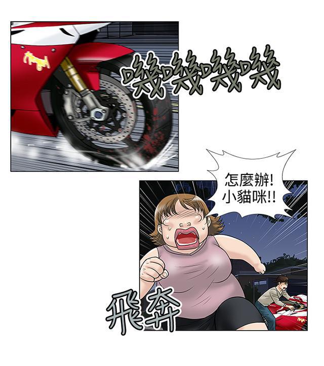 城市猎人漫画韩漫全集-第4话 小猫无删减无遮挡章节图片 