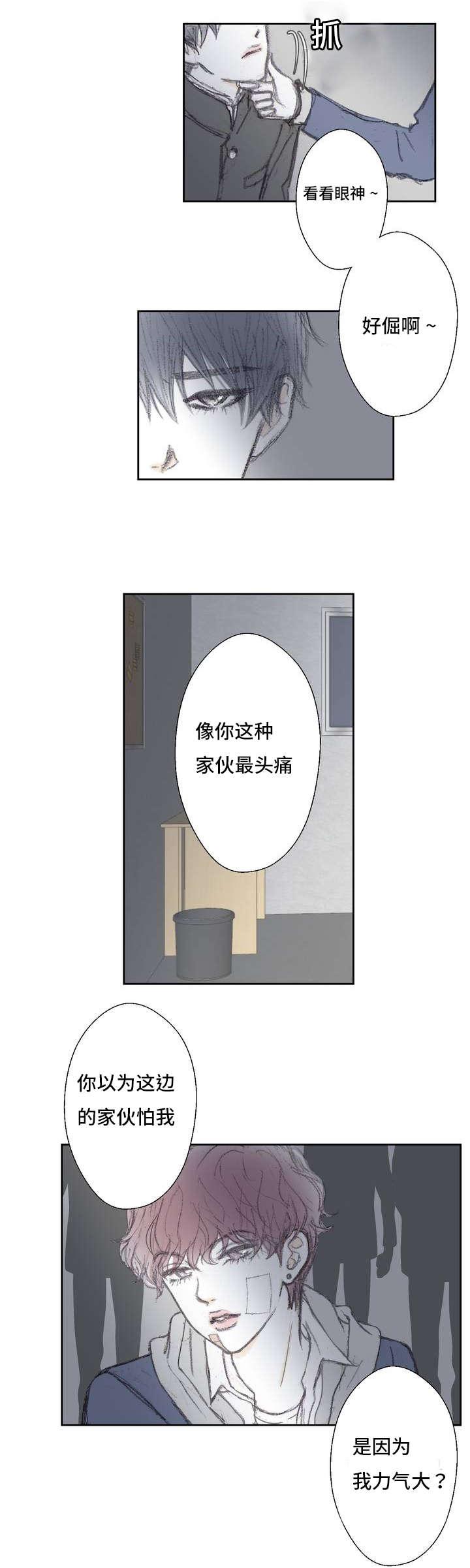 伪恋漫画韩漫全集-1_1话无删减无遮挡章节图片 