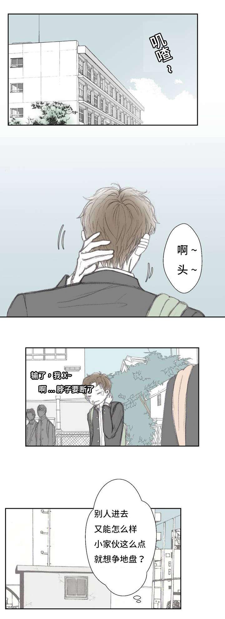 伪恋漫画韩漫全集-1_1话无删减无遮挡章节图片 
