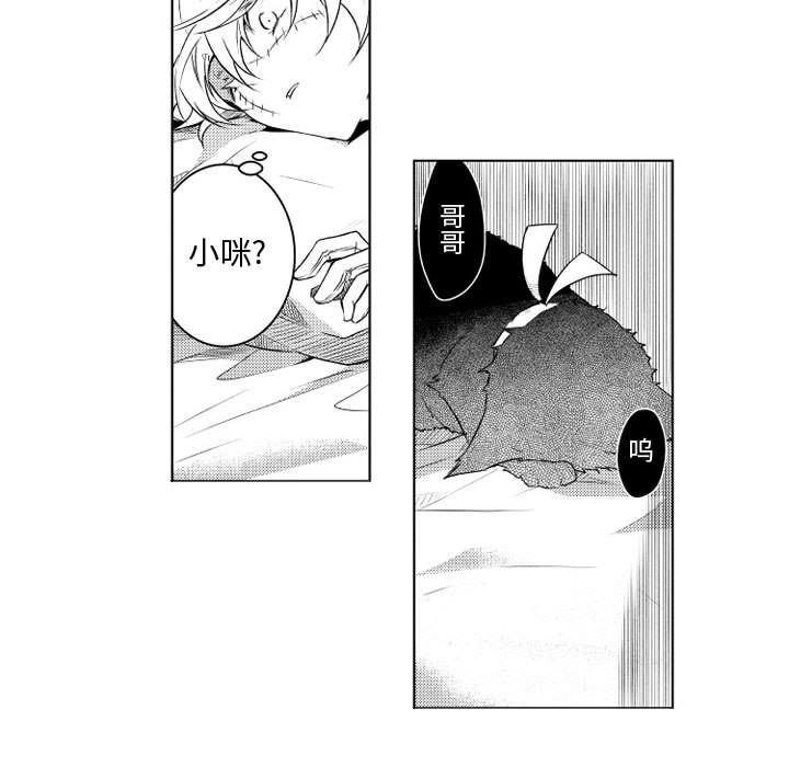 守护甜心漫画韩漫全集-第6话无删减无遮挡章节图片 