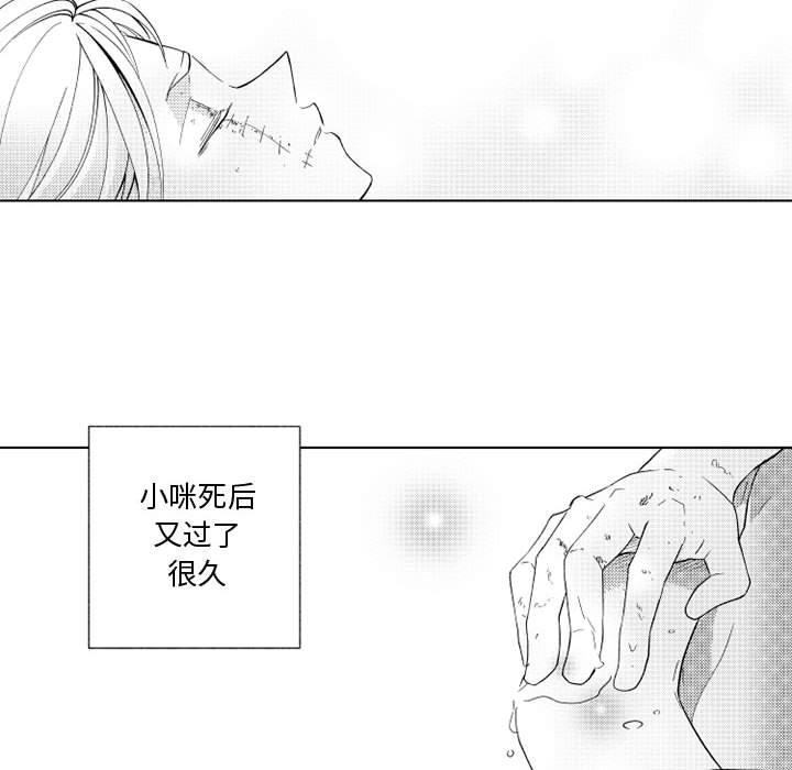 守护甜心漫画韩漫全集-第28话无删减无遮挡章节图片 