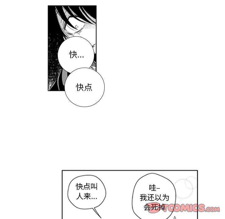 守护甜心漫画韩漫全集-第39话无删减无遮挡章节图片 