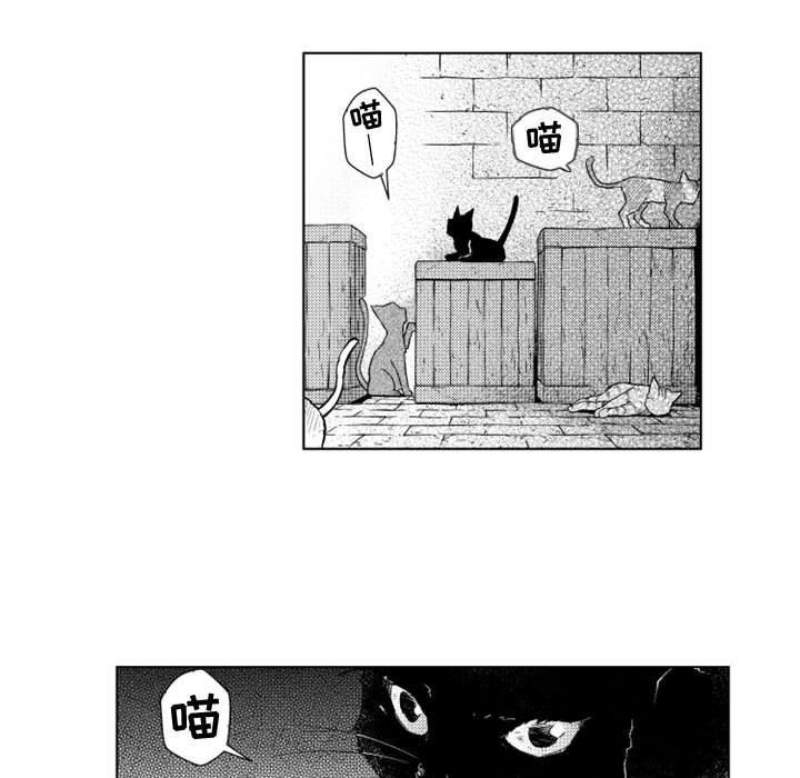 守护甜心漫画韩漫全集-第42话无删减无遮挡章节图片 
