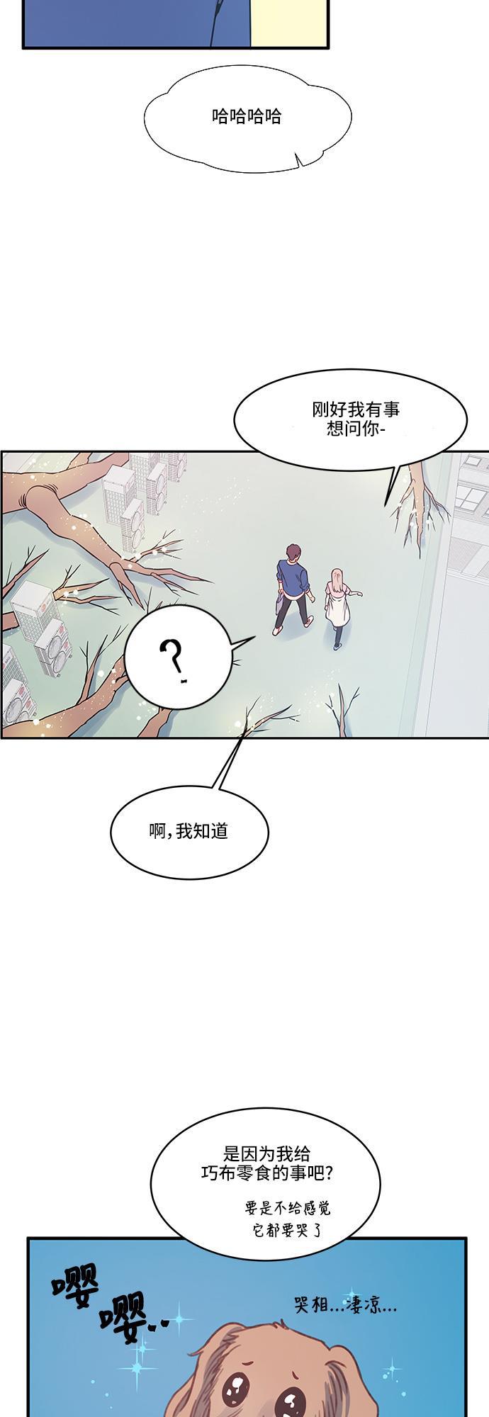 家庭教师reborn漫画韩漫全集-第29话无删减无遮挡章节图片 