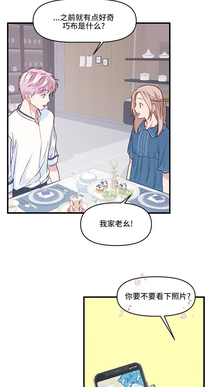 家庭教师reborn漫画韩漫全集-第20话无删减无遮挡章节图片 