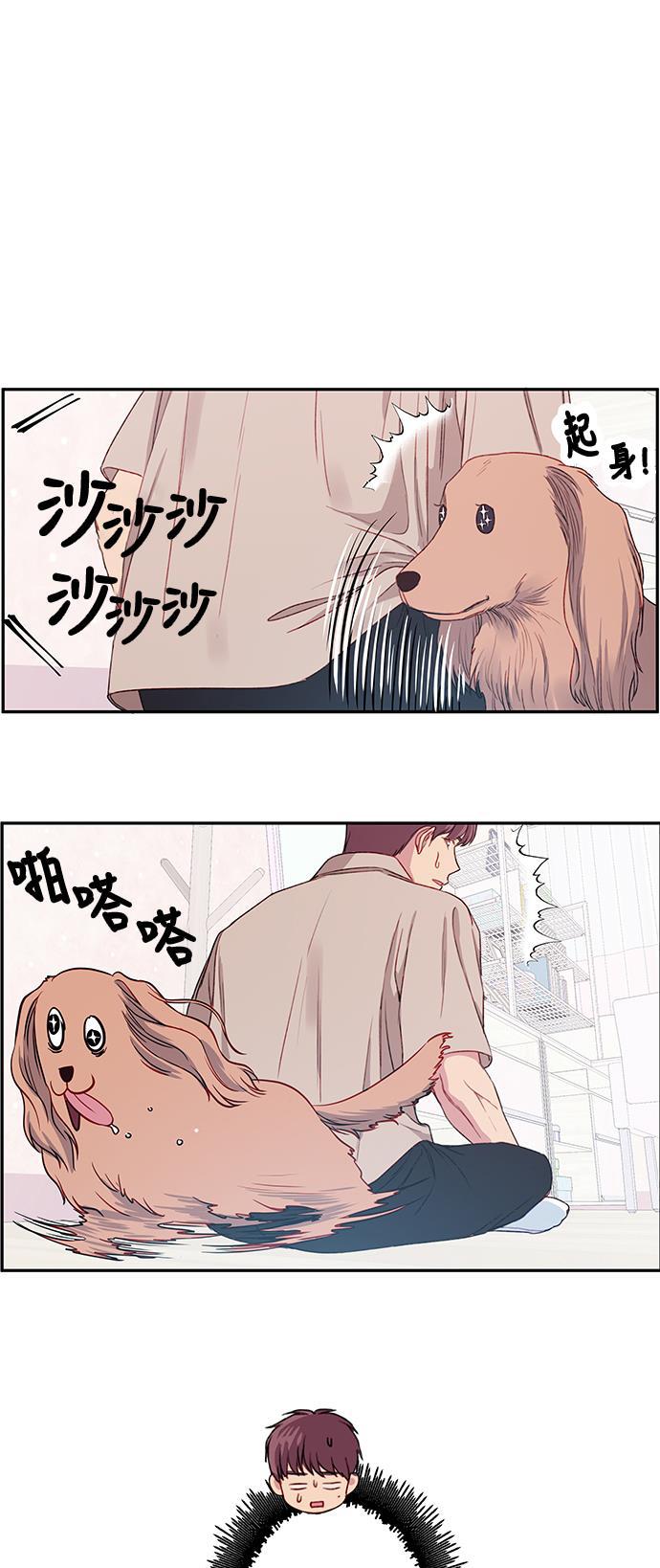家庭教师reborn漫画韩漫全集-第21话无删减无遮挡章节图片 