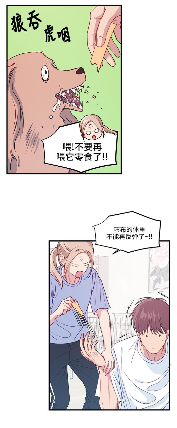 家庭教师reborn漫画韩漫全集-第21话无删减无遮挡章节图片 