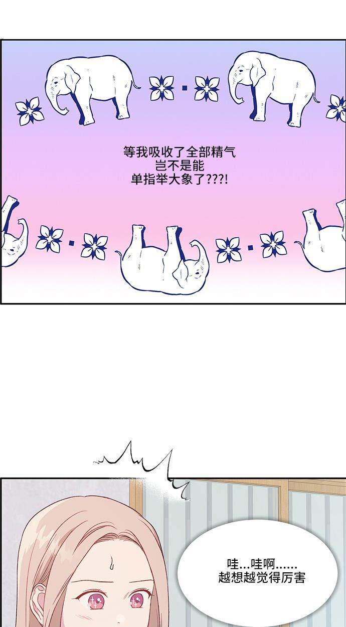家庭教师reborn漫画韩漫全集-第24话无删减无遮挡章节图片 
