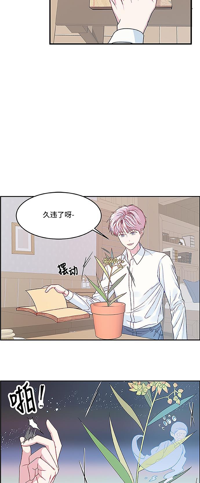 家庭教师reborn漫画韩漫全集-第25话无删减无遮挡章节图片 