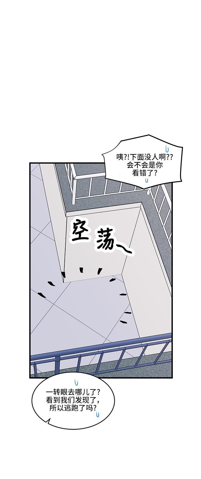 家庭教师reborn漫画韩漫全集-第37话无删减无遮挡章节图片 