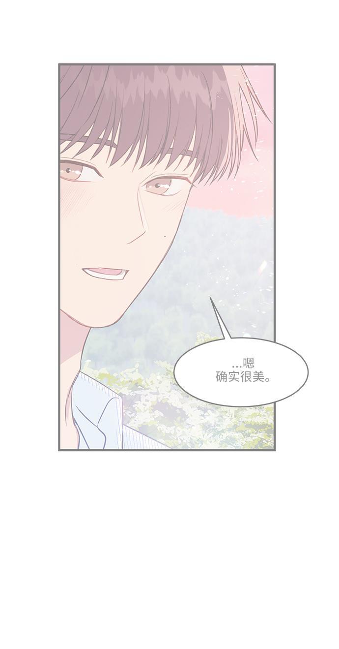 家庭教师reborn漫画韩漫全集-第37话无删减无遮挡章节图片 