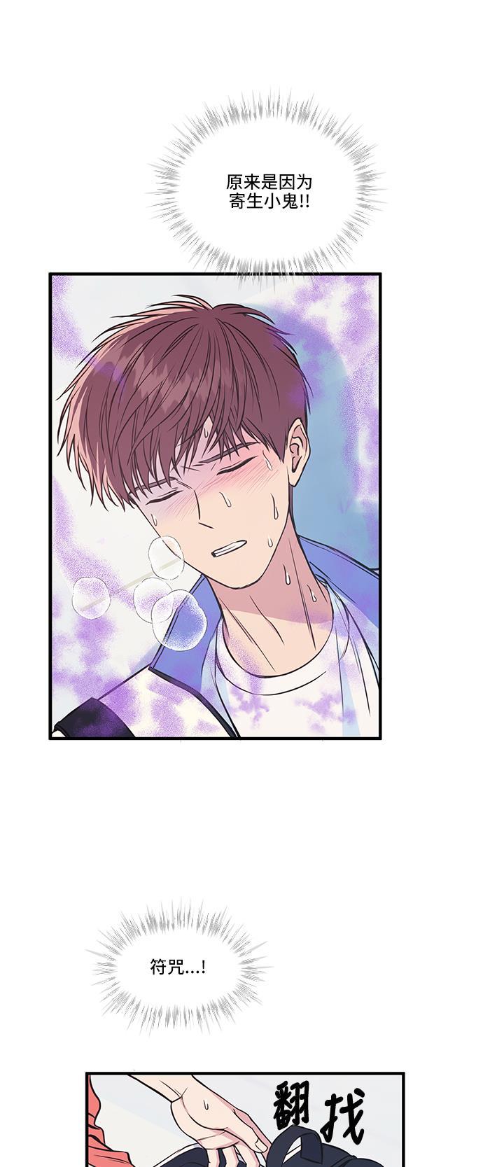 家庭教师reborn漫画韩漫全集-第41话无删减无遮挡章节图片 