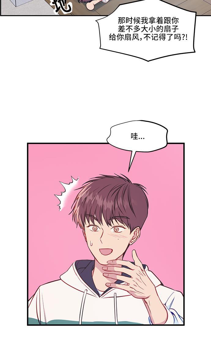 家庭教师reborn漫画韩漫全集-第44话无删减无遮挡章节图片 