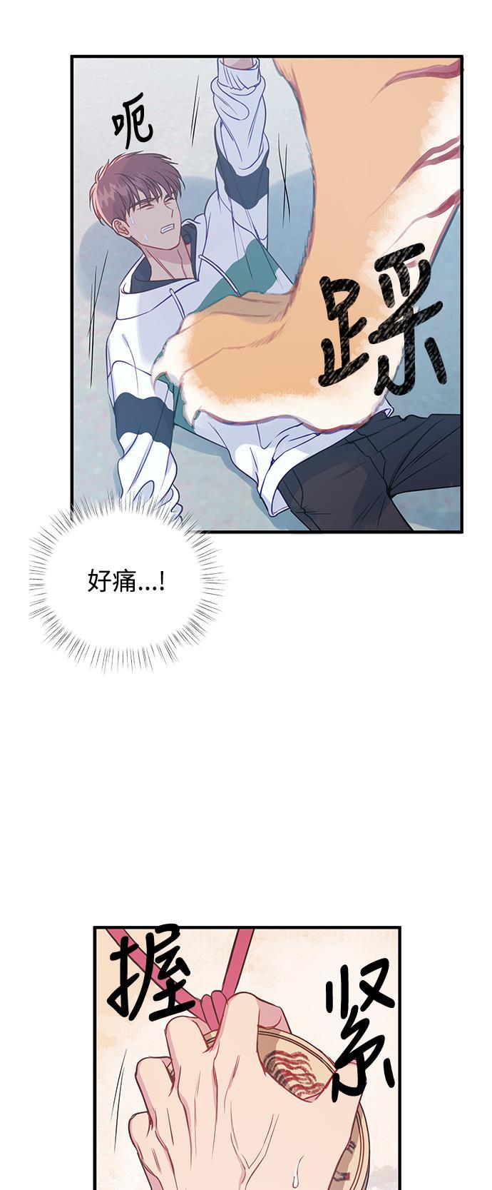 家庭教师reborn漫画韩漫全集-第46话无删减无遮挡章节图片 