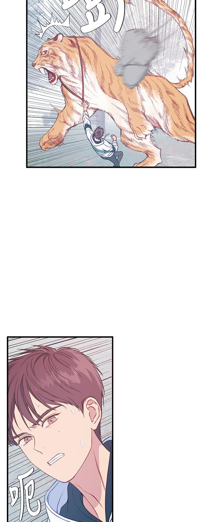 家庭教师reborn漫画韩漫全集-第46话无删减无遮挡章节图片 