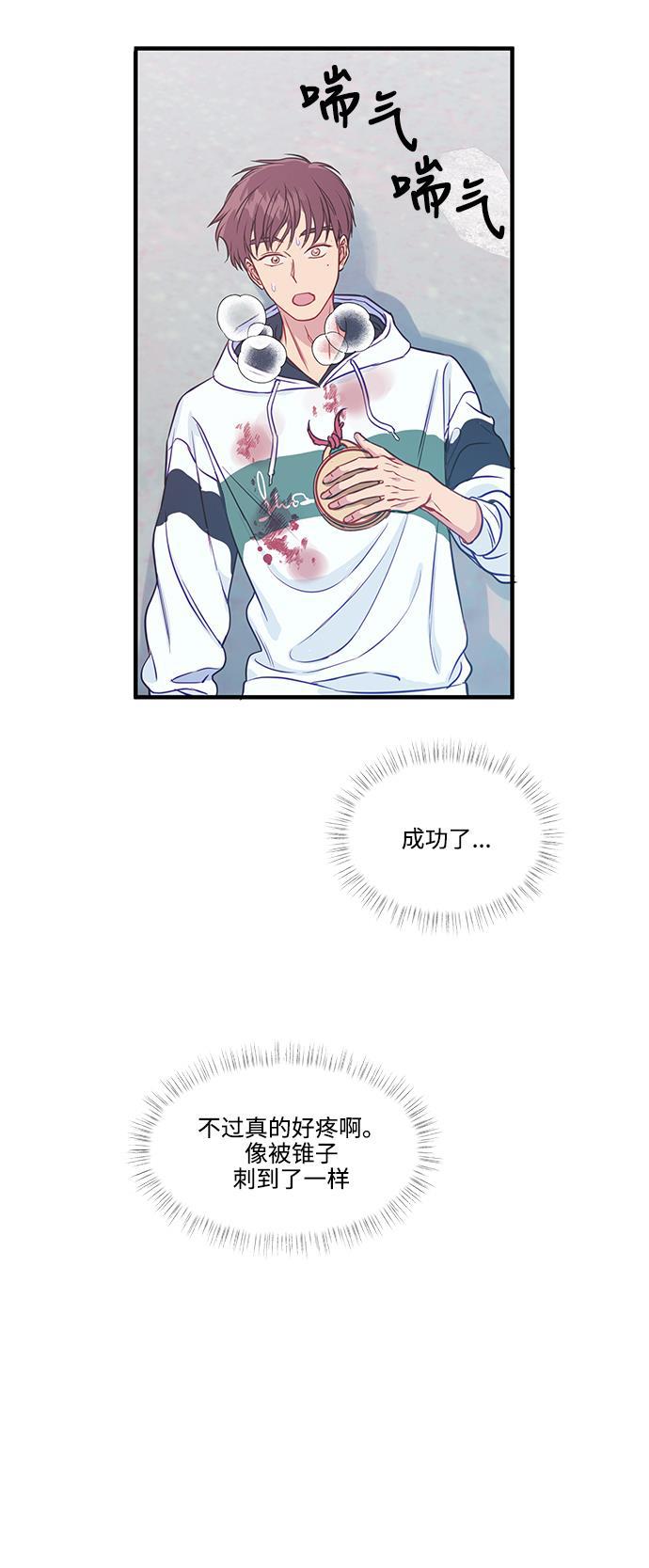 家庭教师reborn漫画韩漫全集-第46话无删减无遮挡章节图片 
