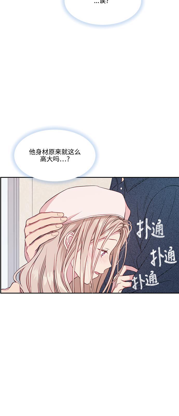 家庭教师reborn漫画韩漫全集-第49话无删减无遮挡章节图片 