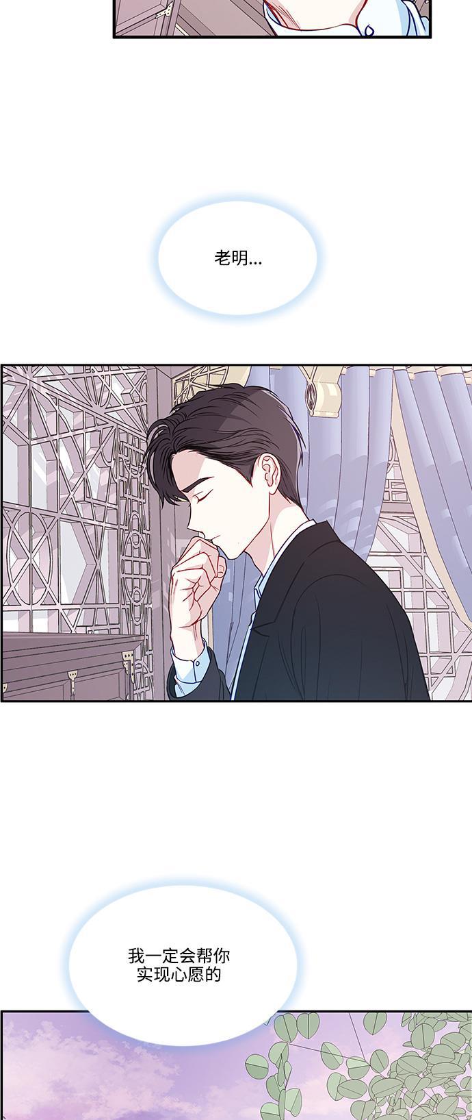 家庭教师reborn漫画韩漫全集-第51话无删减无遮挡章节图片 