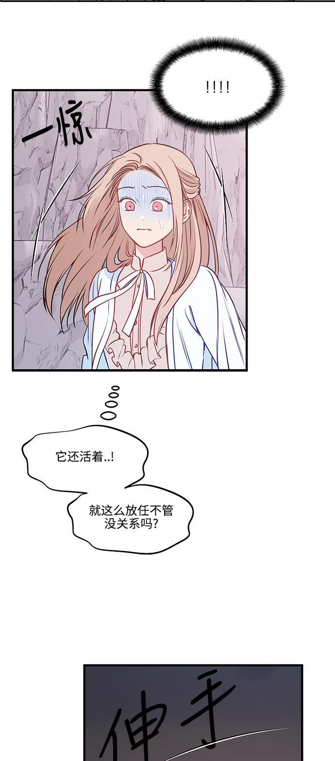 家庭教师reborn漫画韩漫全集-第54话无删减无遮挡章节图片 