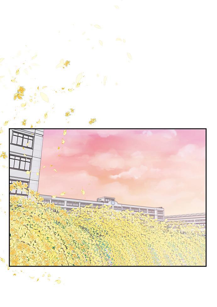 家庭教师reborn漫画韩漫全集-第55话无删减无遮挡章节图片 
