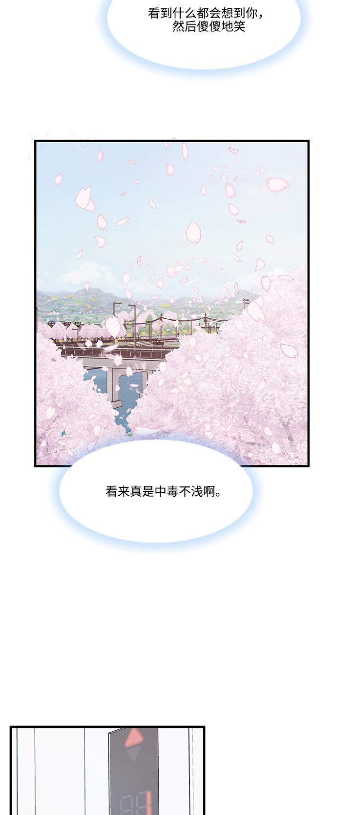 家庭教师reborn漫画韩漫全集-第56话无删减无遮挡章节图片 