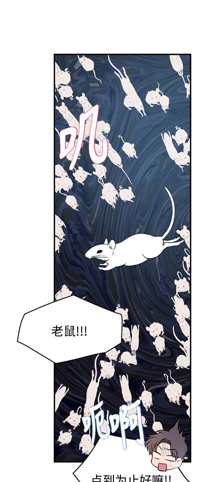 家庭教师reborn漫画韩漫全集-第63话无删减无遮挡章节图片 