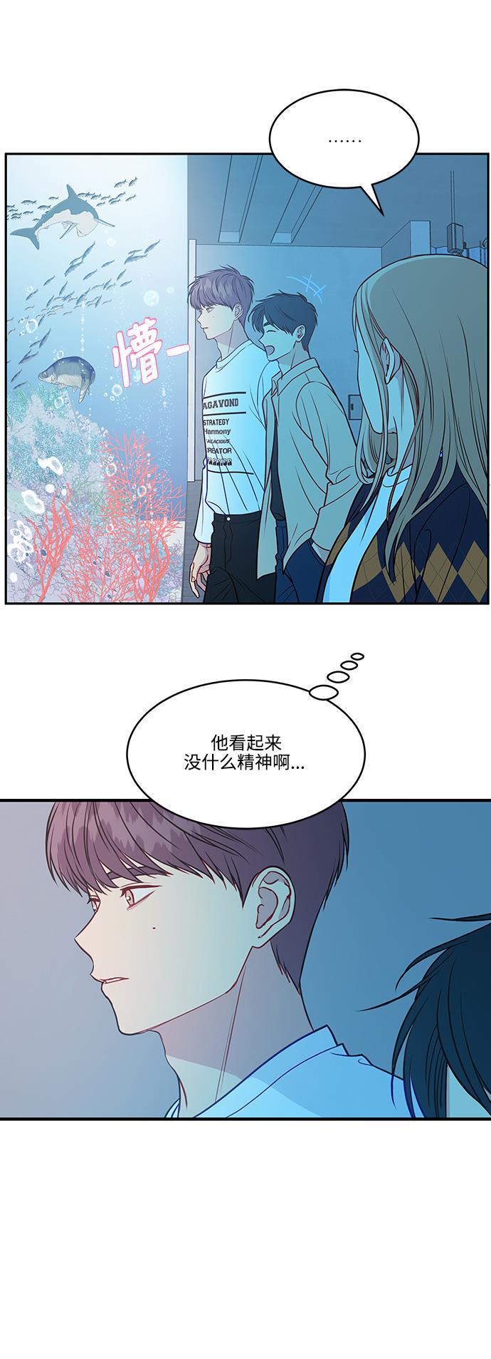家庭教师reborn漫画韩漫全集-第66话无删减无遮挡章节图片 