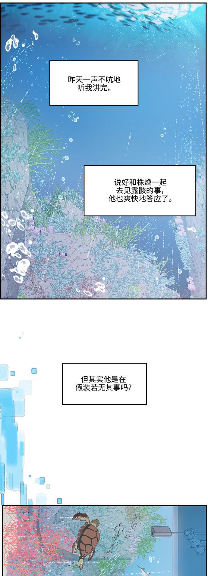 家庭教师reborn漫画韩漫全集-第66话无删减无遮挡章节图片 