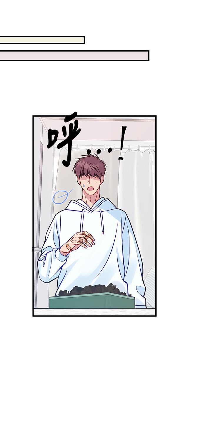 家庭教师reborn漫画韩漫全集-第70话无删减无遮挡章节图片 