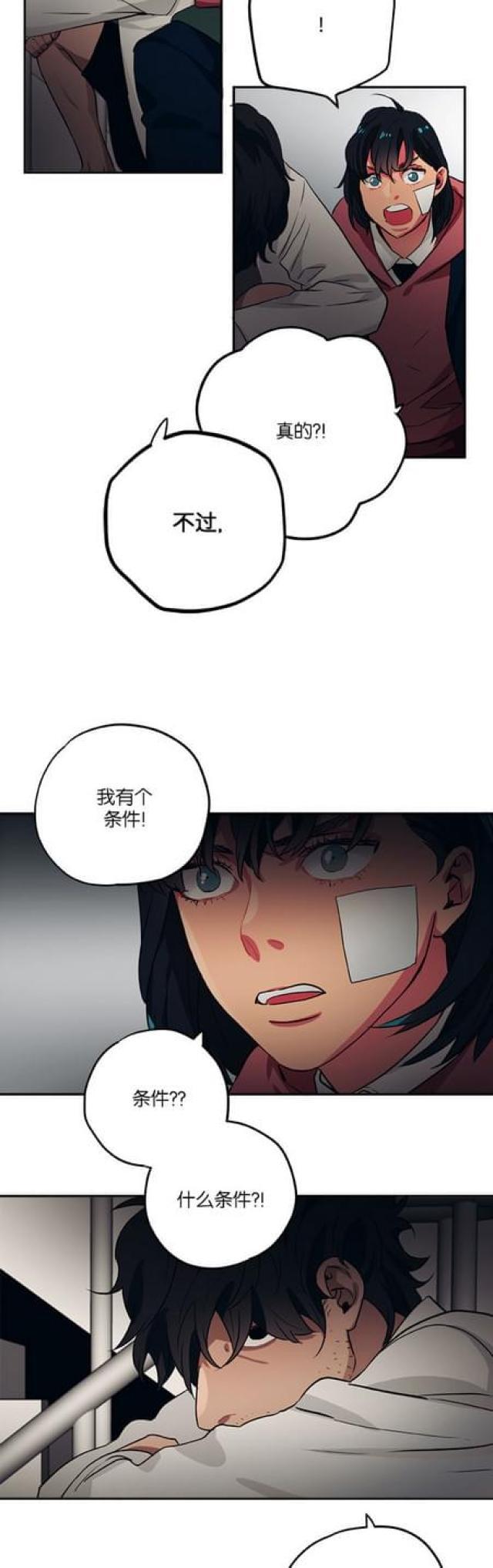 漫画廊韩漫全集-第74话无删减无遮挡章节图片 