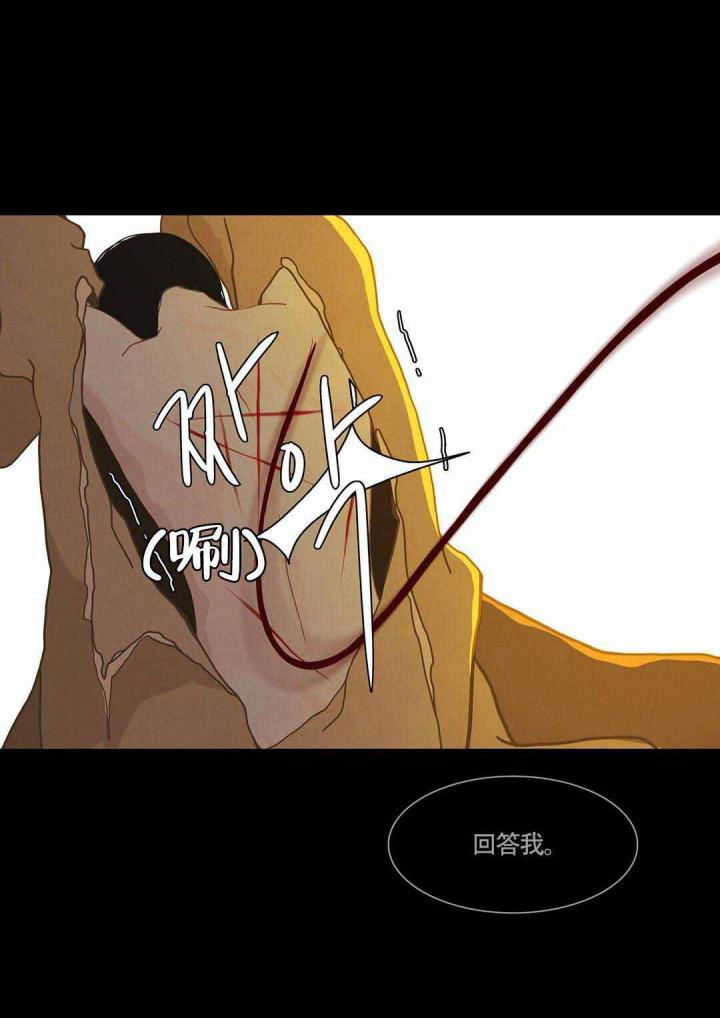 美型妖精大混战漫画全集韩漫全集-第45话无删减无遮挡章节图片 